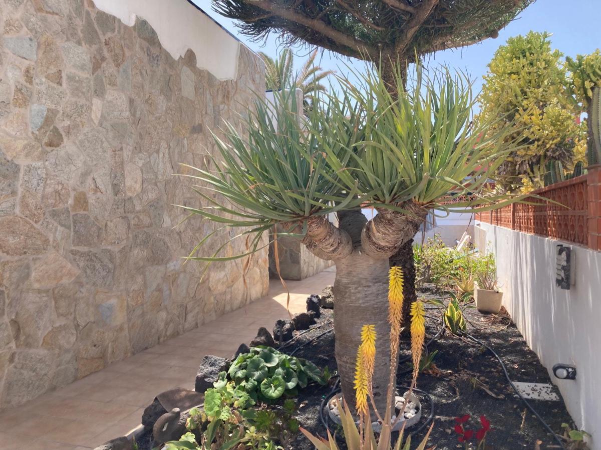 Beach House With The Heated Pool Next To Rocky Point Corralejo Exterior foto